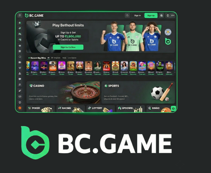 BC.Game Mirror Login Process Secure Access to Your Gaming Account